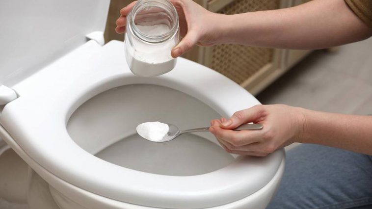 Déboucher les toilettes avec une ventouse : la technique efficace